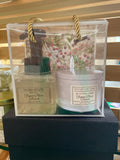 Sugar Plum Punch - Soap & Candle